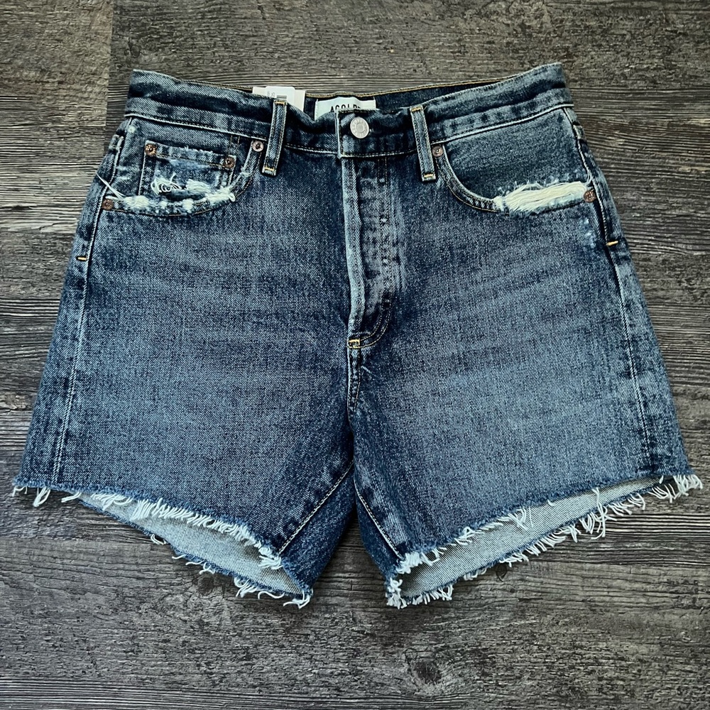 Agolde Reese Shorts in Precision